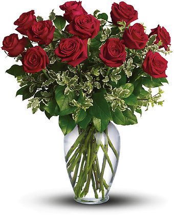 Dozen Elegant Roses - Our Best Roses