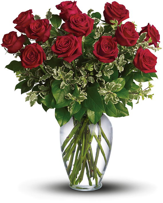 Dozen Elegant Roses - Our Best Roses
